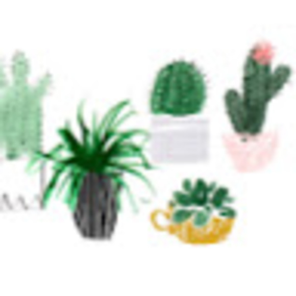 Meet your Posher, Stacy - Picture 1 of 1